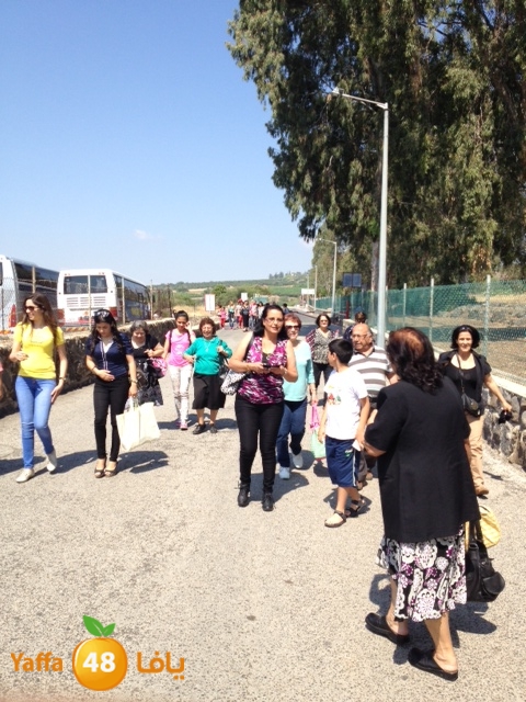 qostanteen 0531 (4).JPG